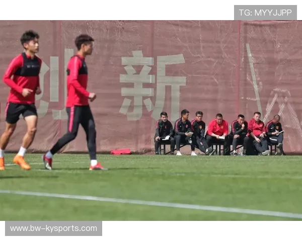 世界板球青训学院公布下一年度培养计划，板球世锦赛
